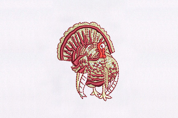 Turkey Embroidery Design: A Pro Review for Holiday Projects